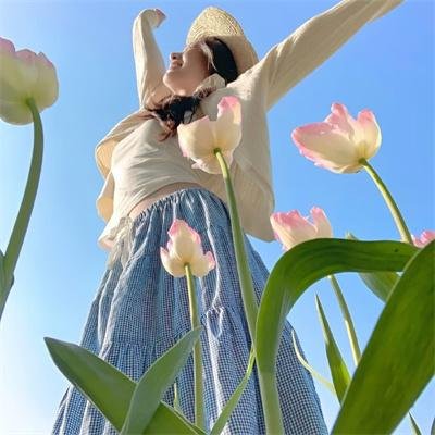 神龙星主